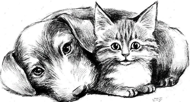 Котенок рисунок