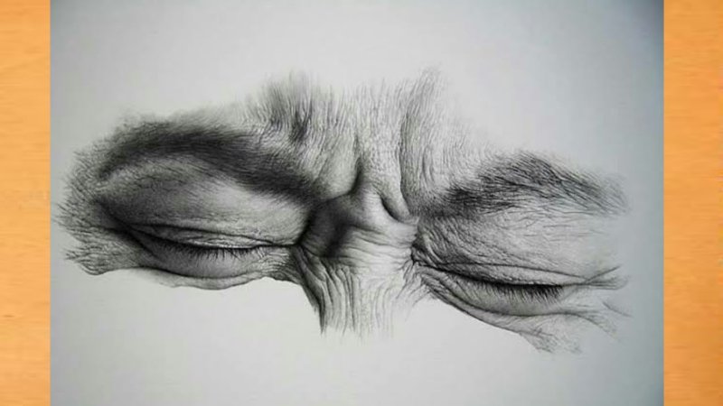 Необычные рисунки простым карандашом