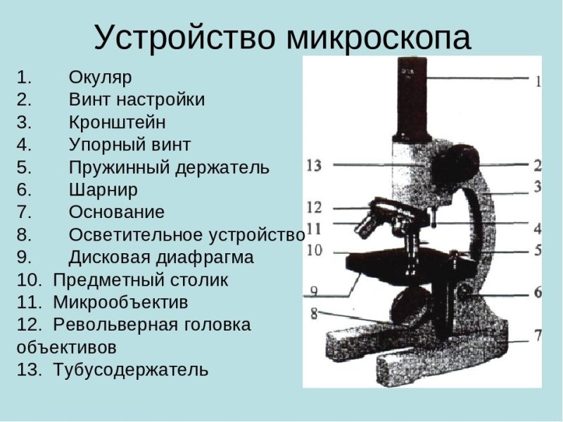 Схема строения оптического микроскопа