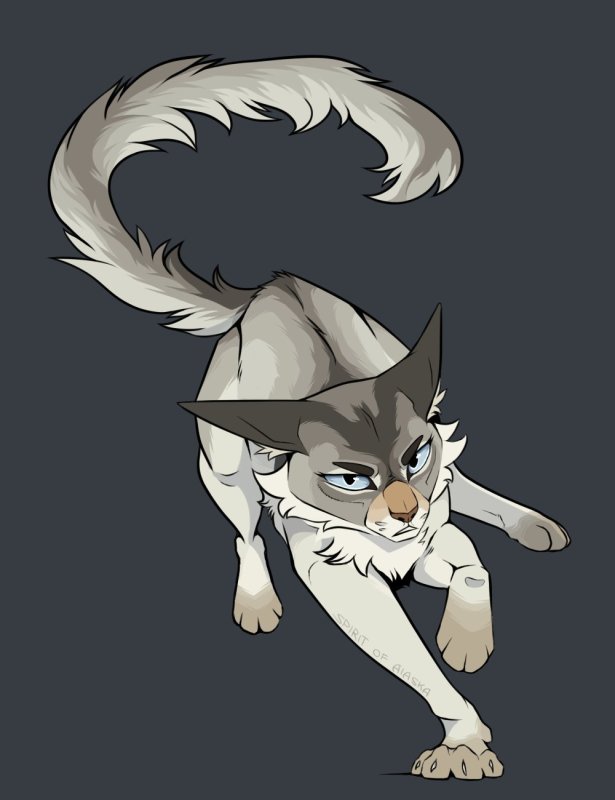 Коты Воители Снегоухий