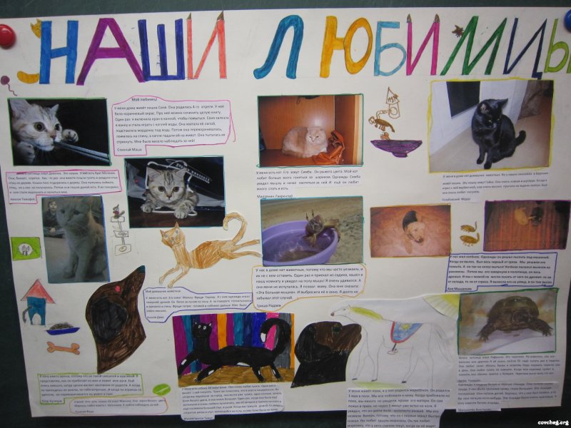 Плакат с фотографиями