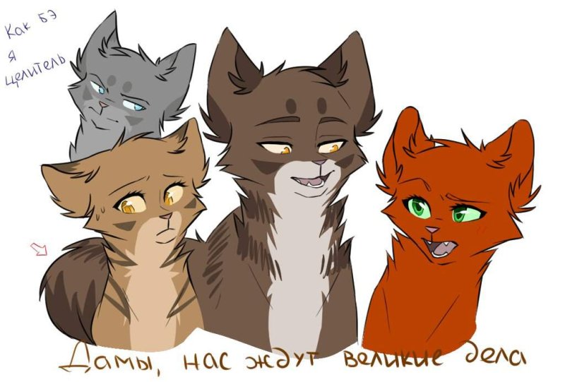 Коты Воители 3 кошки