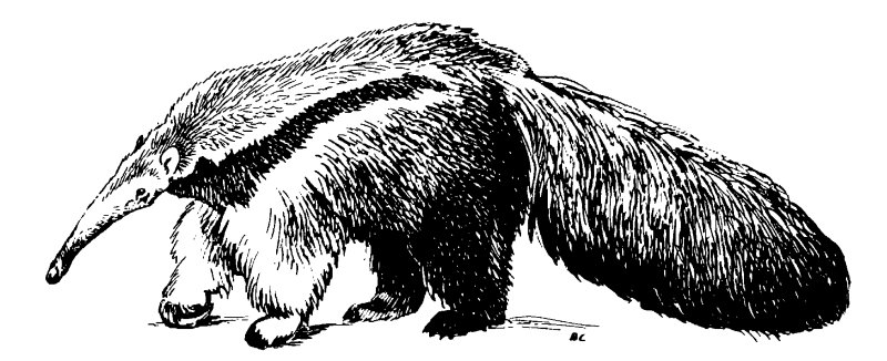 Муравьед рисунок
