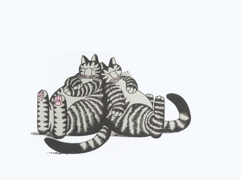 Полосатый рисованный кот