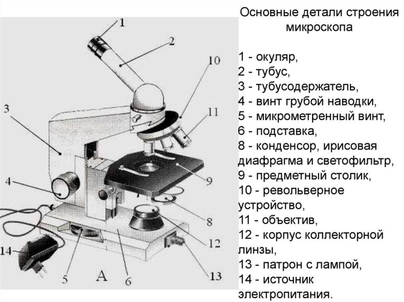 Строение микроскопа Микмед 1