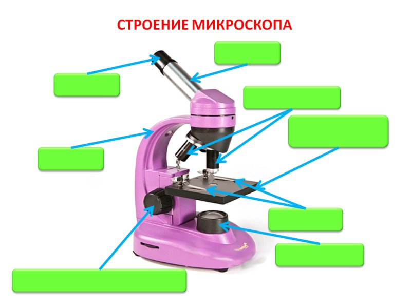 Строение микроскопа макровинт