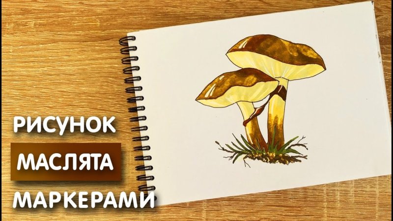Маслята нарисовать легко