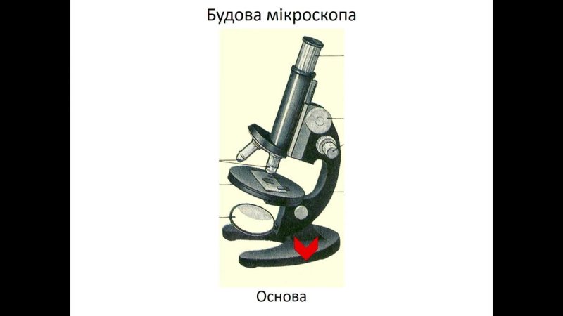 Биология 5 кл строение микроскопа