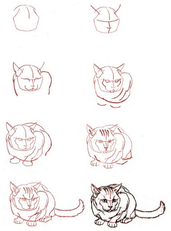 Рисунок кота пошагово