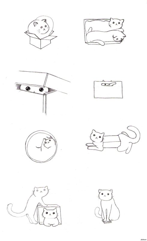 Котики в коробочке легкие рисунки