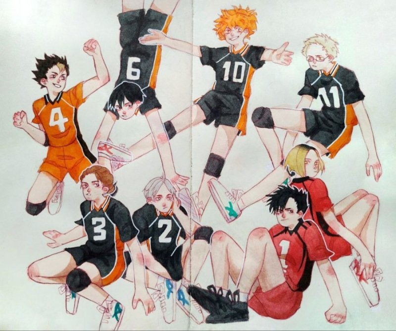 Волейбол Haikyuu