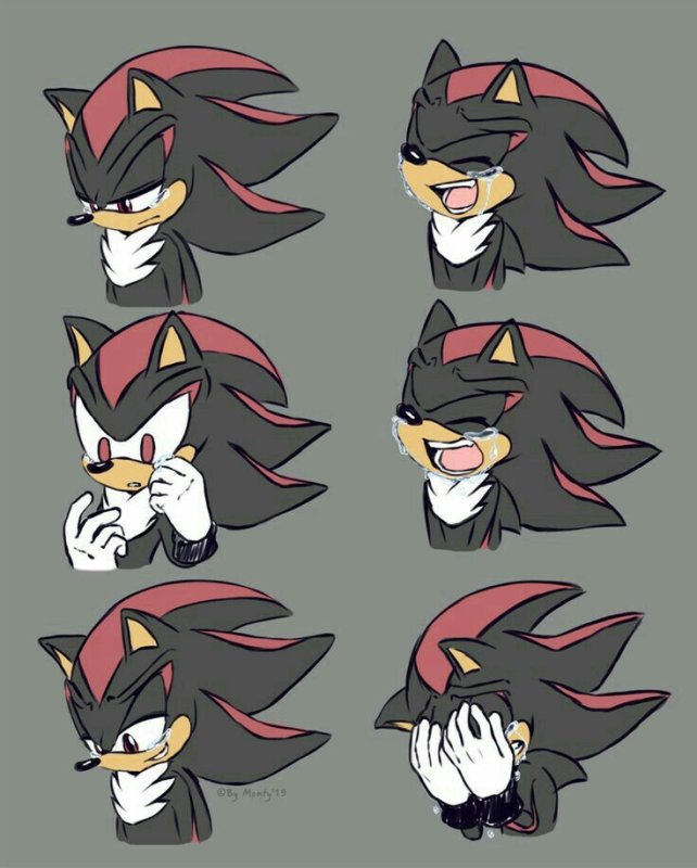 Sonic и Шедоу
