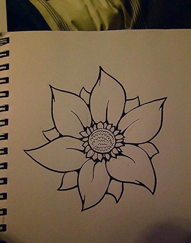 Красивые цветы для срисовки