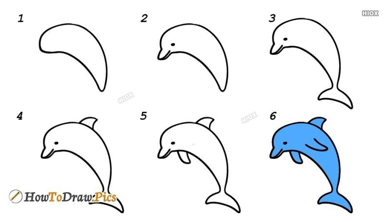 Рисунок дельфина