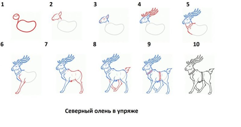 Схема рисования оленя