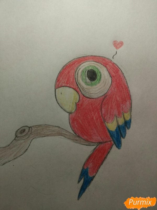 Рисунок попугая для срисовки