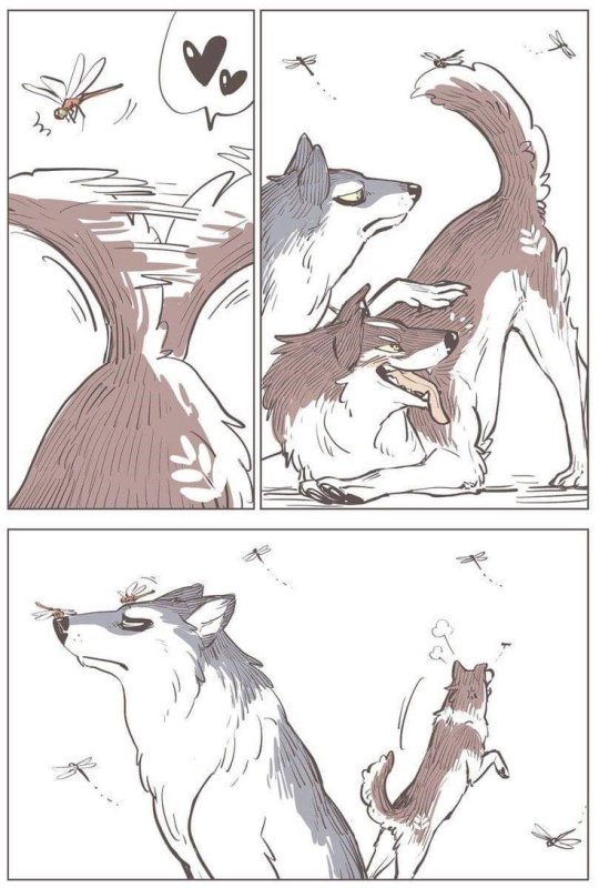 Волк комикс