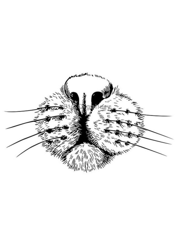 Кошачий нос нарисованный