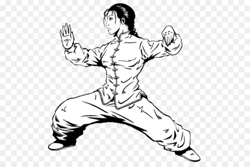 Шаолинь цюань