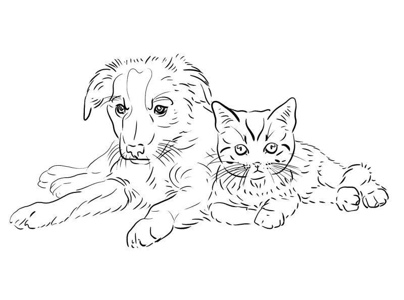 Раскраска кошечка и собака