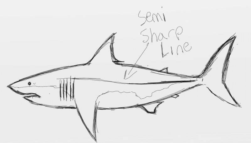 акула рисунок легкий