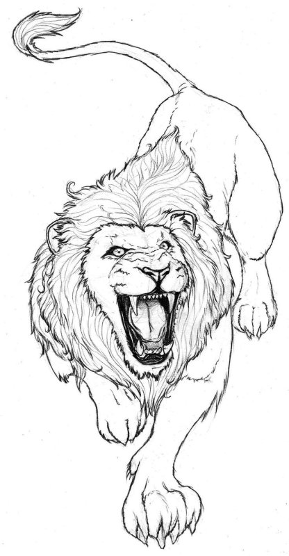 Лев эскиз