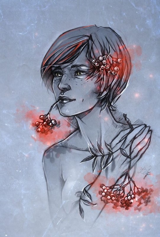 The Witcher Shani Art