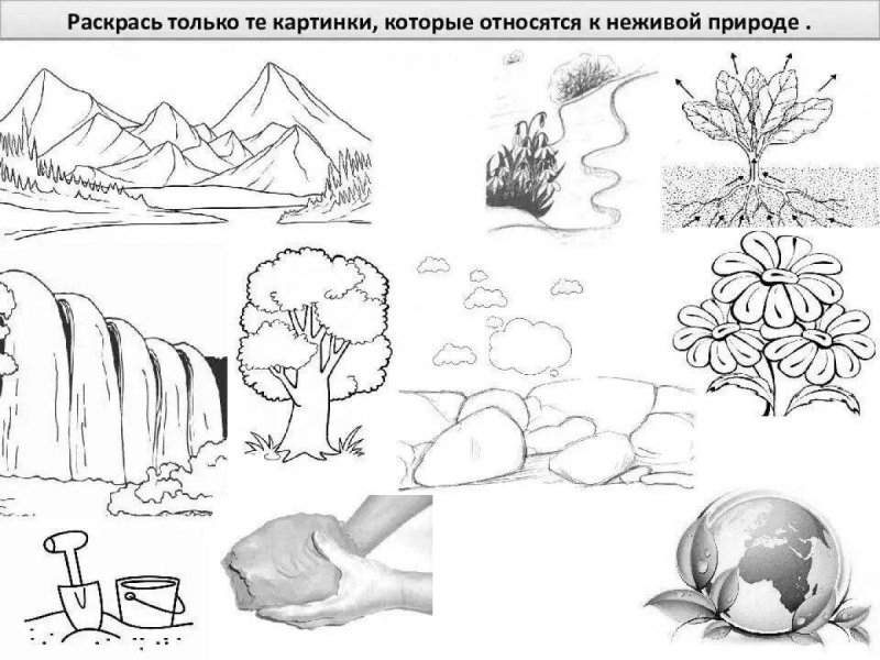 Живая и неживая природа раскраска