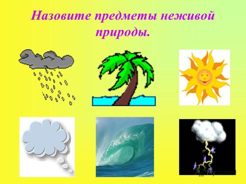 Живая неживая природа для детей
