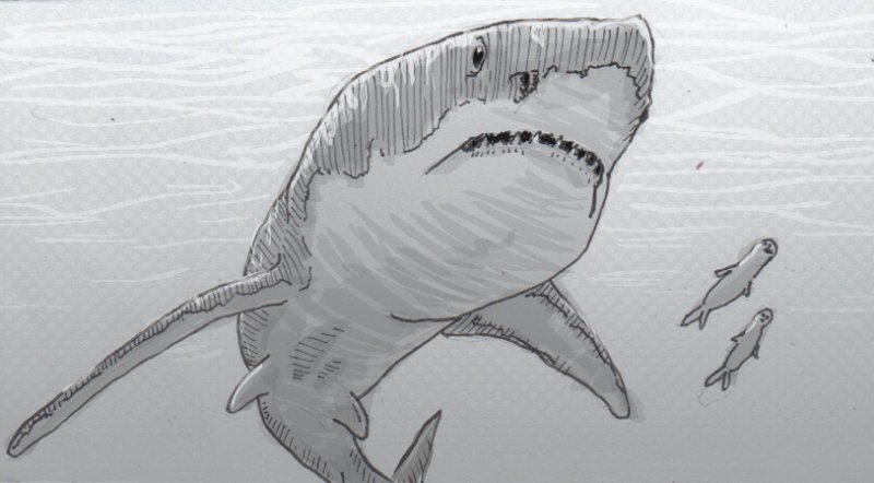 левиафан мелвилла против мегалодона