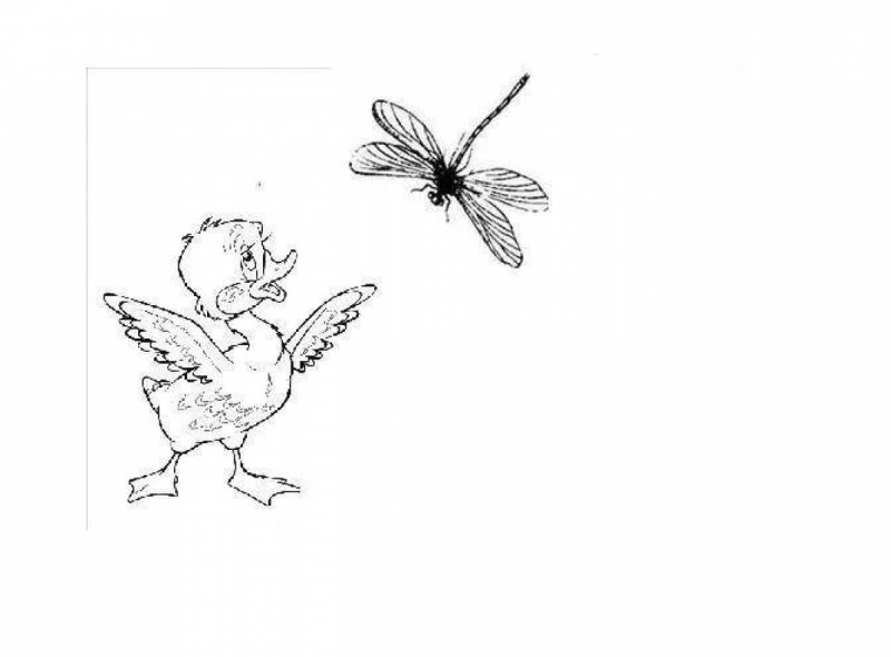 Храбрый утёнок Борис Житков раскраска