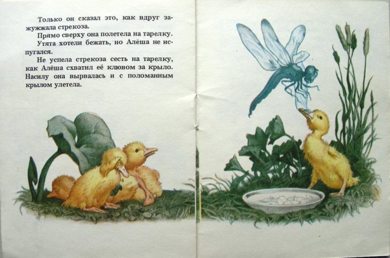 Храбрый утенок Житкова