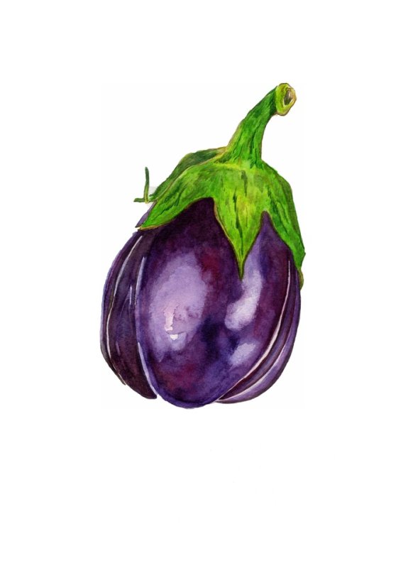 Баклажан рисунок
