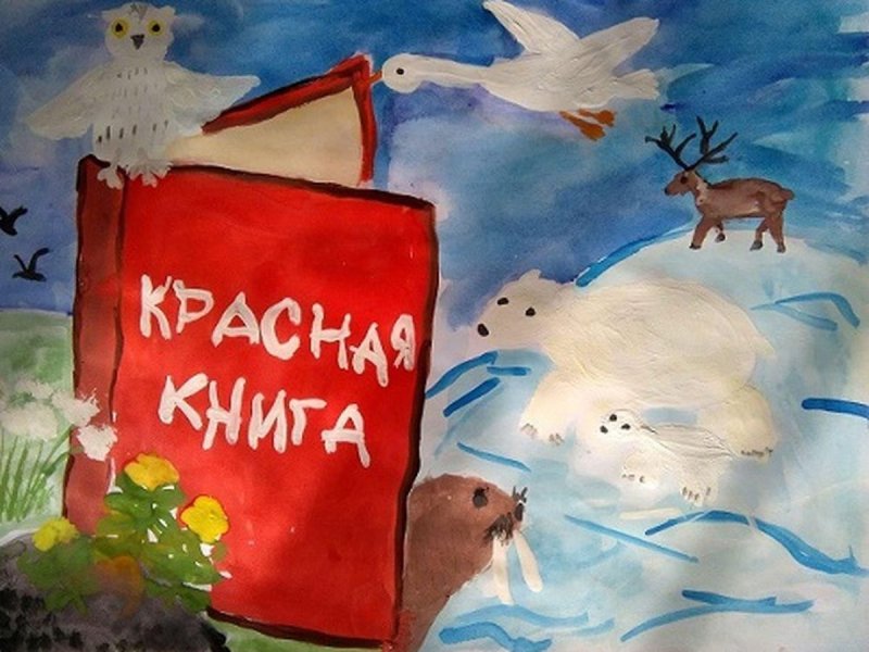 Красная книга глазами детей