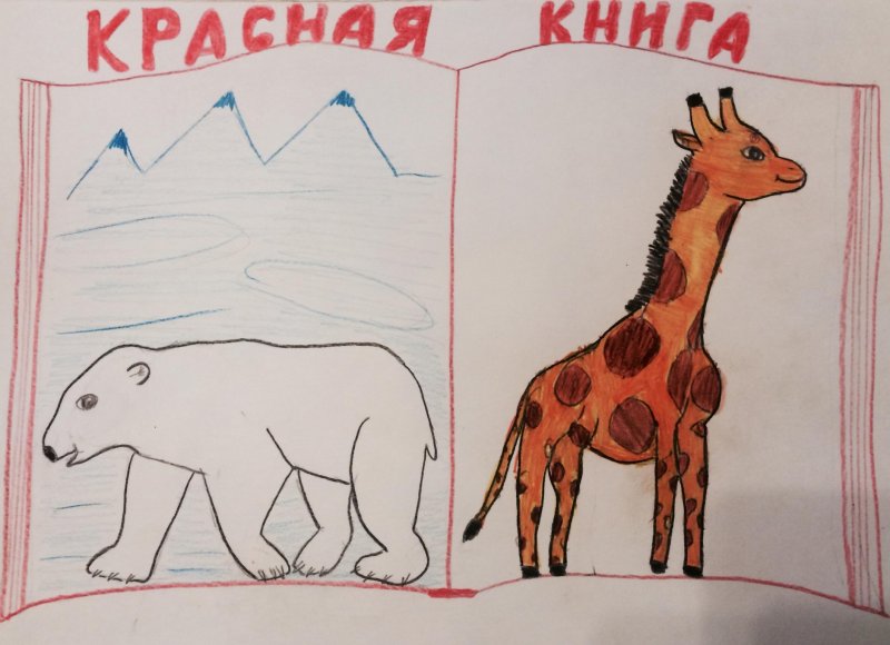 Рисунки животных красной книги