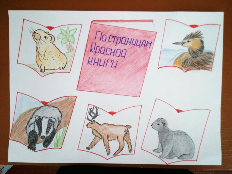 Красная книга России. Животные