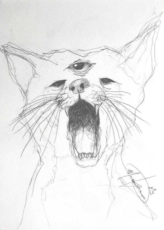Морда кота эскиз