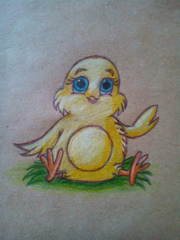 рисунки цыпленка