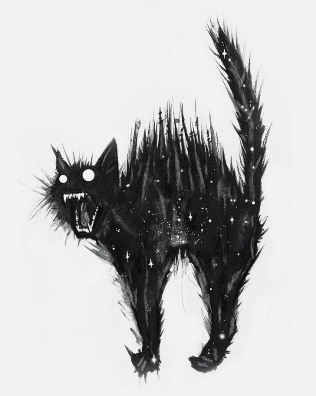 Коты арт