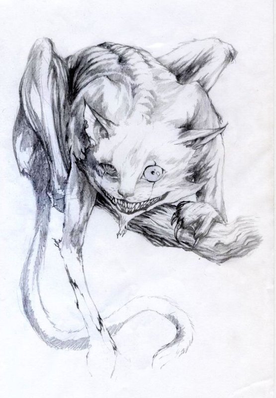 Кошка рисунок карандашом