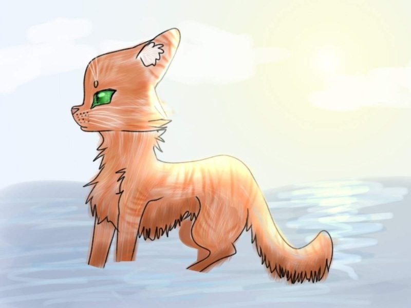 Коты Воители Огнезвезд