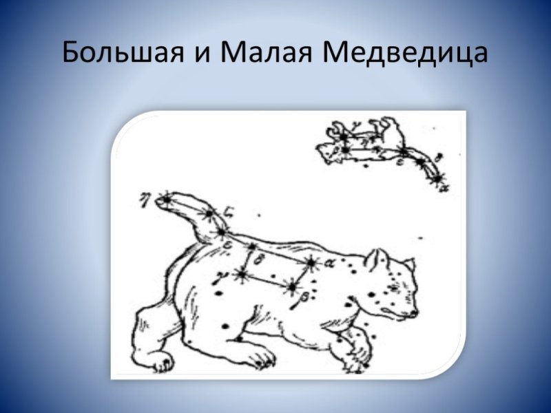 Созвездие большая Медведица и малая Медведица