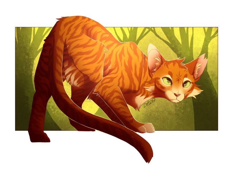 Коты Воители Огнезвезд