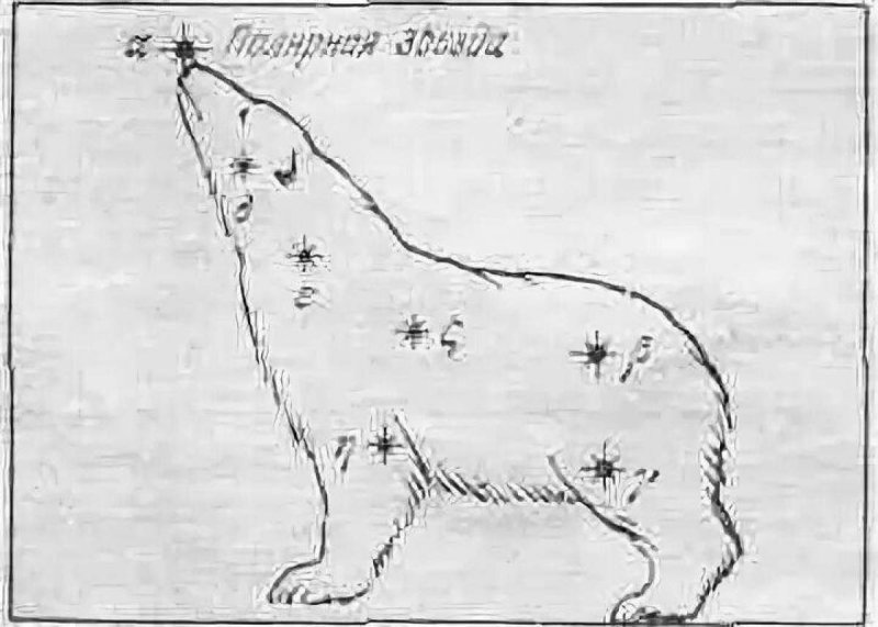Созвездие малой медведицы рисунок