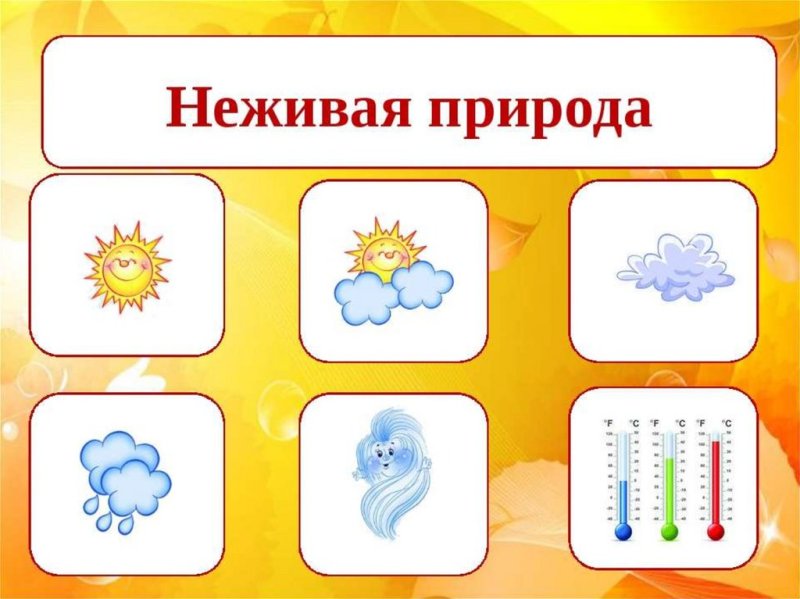 Тема неживая природа