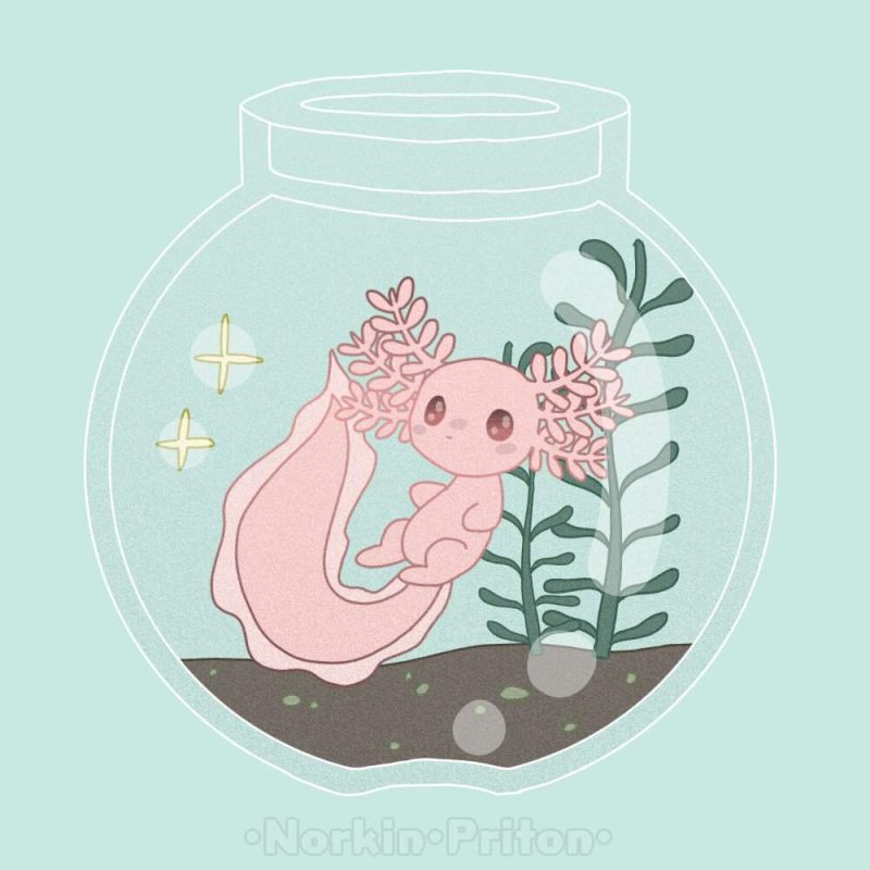 аксолотль рисунок милый