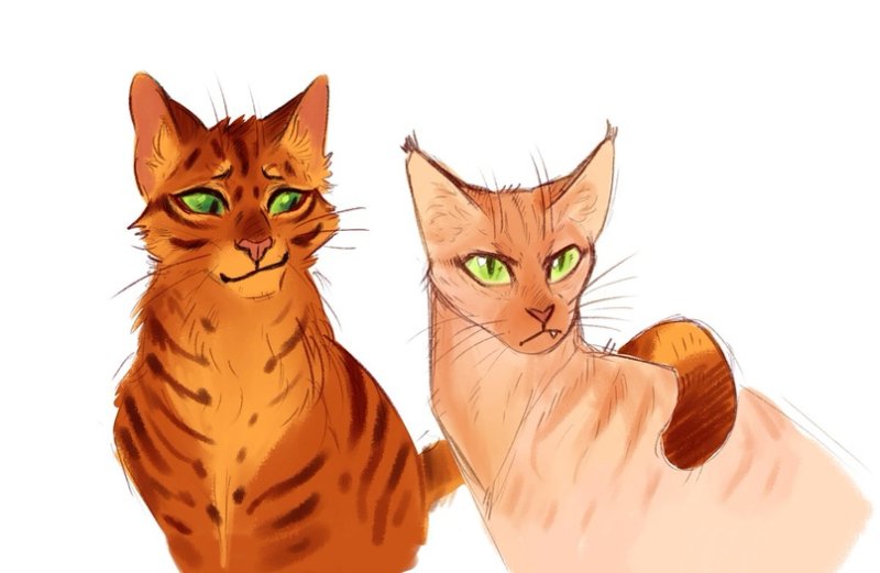 Коты Воители Песчаная буря