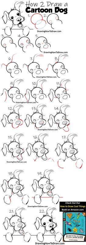 How to draw a Dog