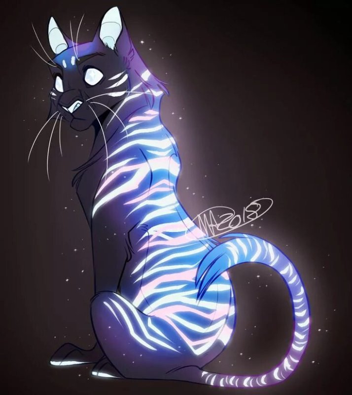 Магический кот