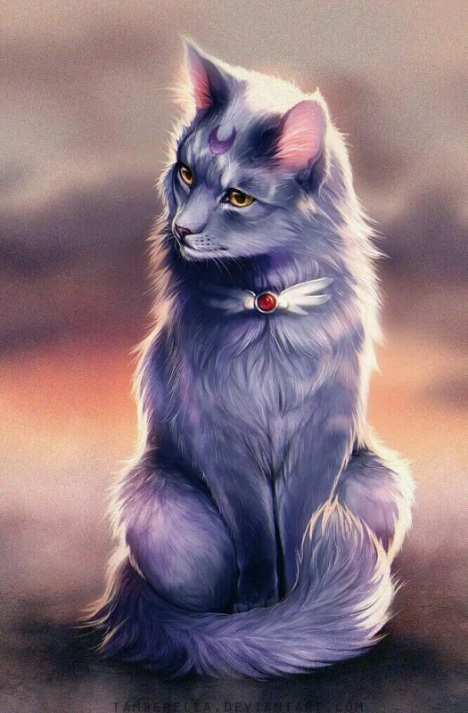 Кот арт